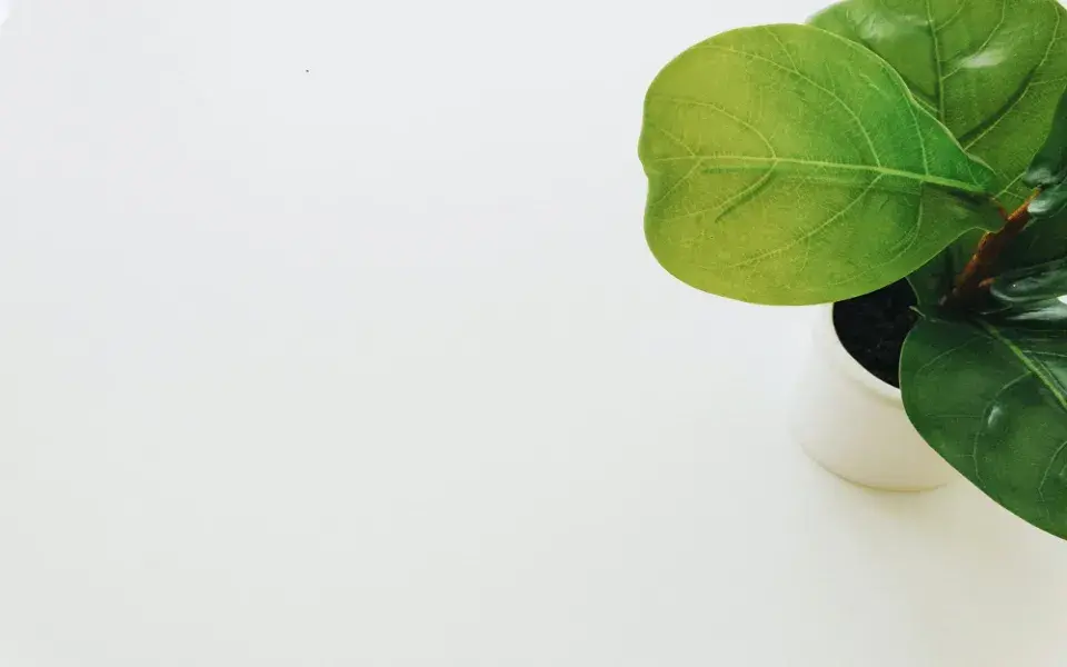 ESG Investing Practices, Responsible Strategies, Progress, and Challenges: An Ultimate Guide