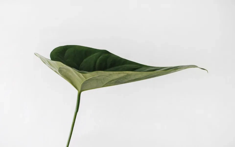 Aligning ESG with Corporate Strategy to Gain a Competitive Advantage