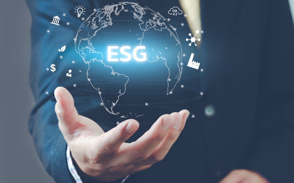 Why Is ESG More Important Now Than Ever for Your Business? 