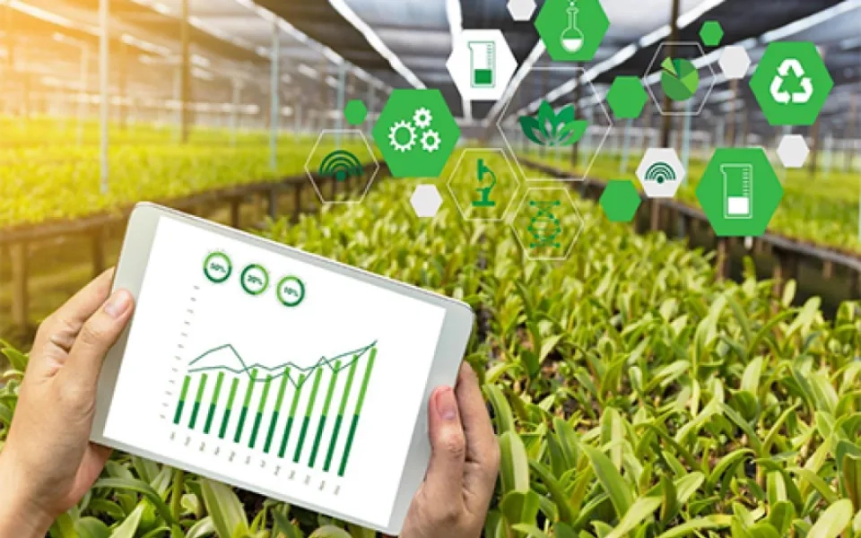 AI in Agriculture: Will AI help farmers to make better decision for optimized crop production