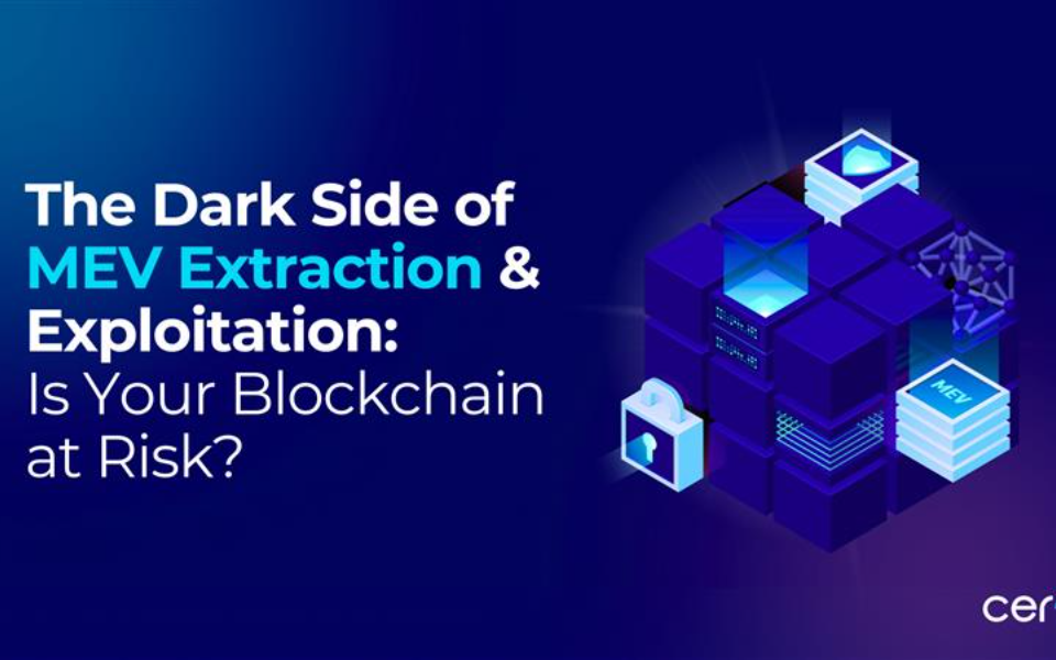 The Dark Side of MEV Extraction & Exploitation: Is Your Blockchain at Risk?