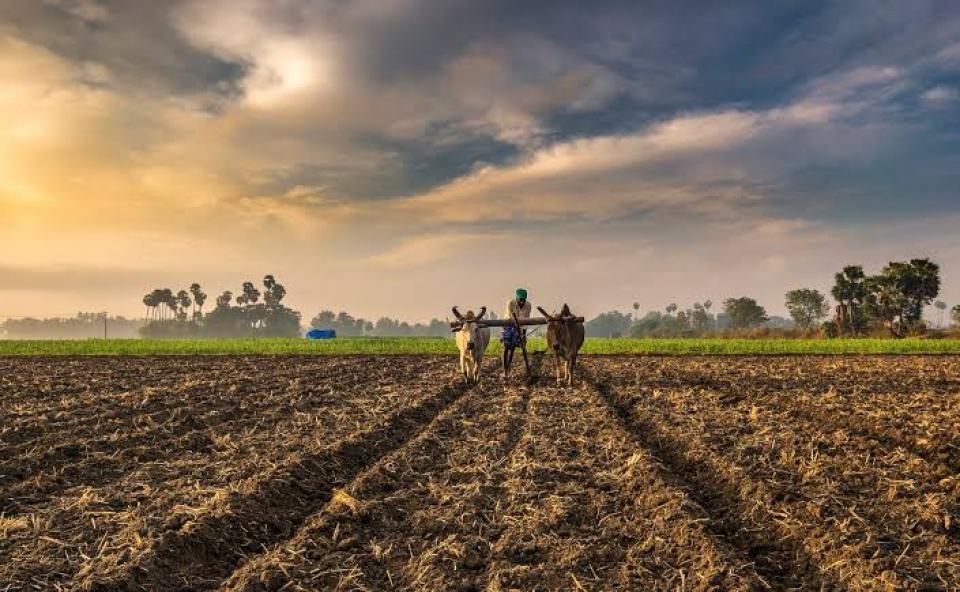 The technology that could stop the use of plastic mulch