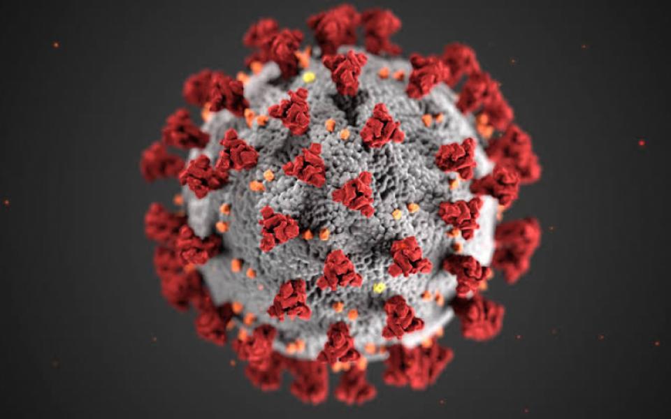 Technology helps in analysing potential virus variants