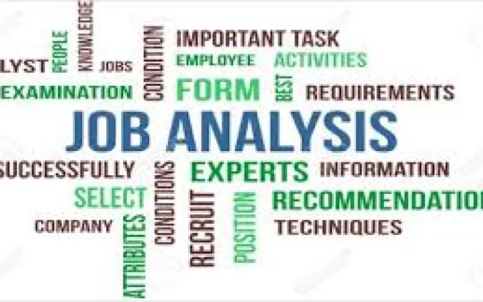 3 Best Job Analysis Methods Every HR Professional Needs To Know in 2021