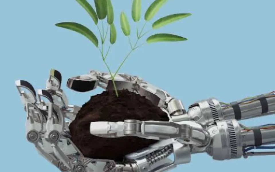 Automation in Agriculture Using Artificial Intelligence 