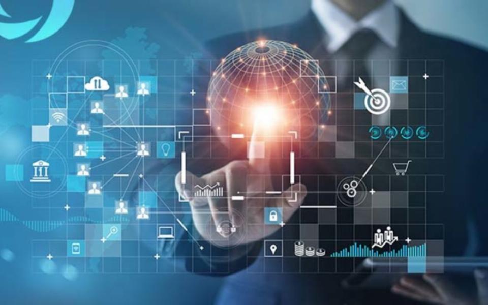 Insights from the C-Suite