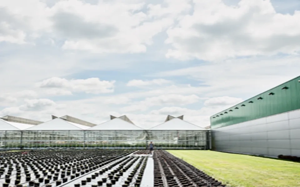 Navigating Warehouse Challenges & Innovations in Technology 