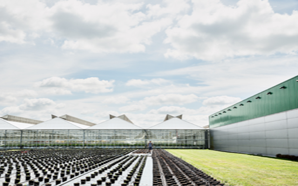 Navigating Warehouse Challenges & Innovations in Technology 
