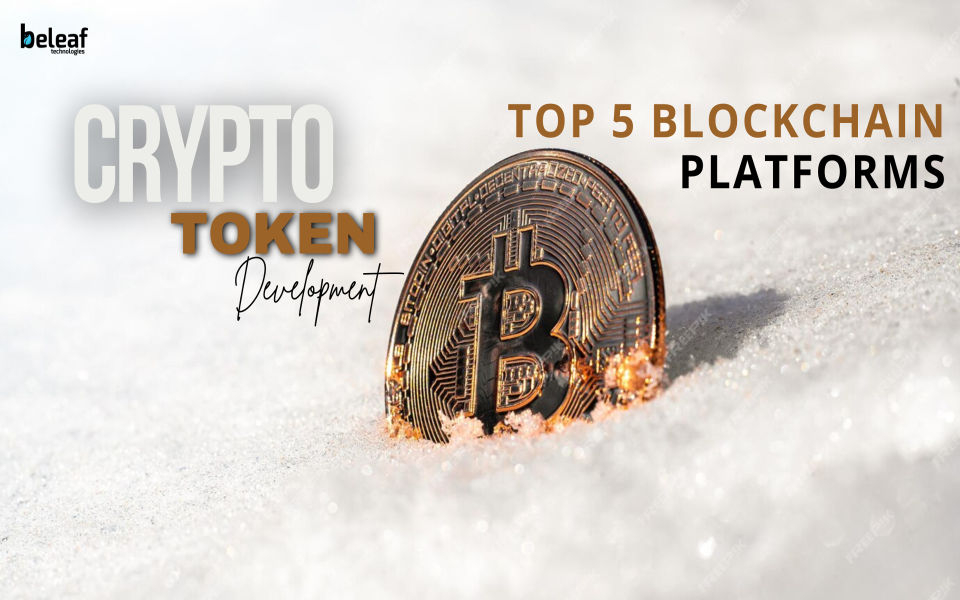 Top 5 Blockchain Platforms for Crypto Token Development in 2025