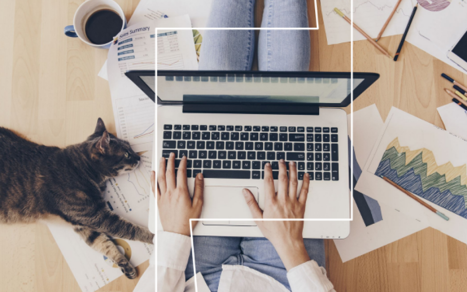 IS WORK FROM ANYWHERE HERE TO STAY?