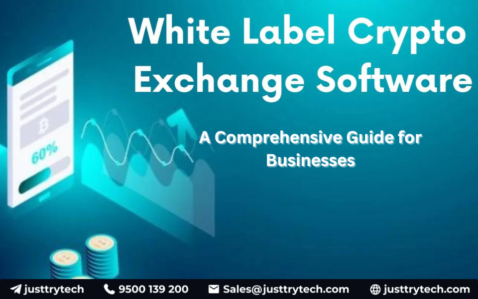 The Power of White-Label Crypto MLM Software: Auto Payments, User & Admin Panels