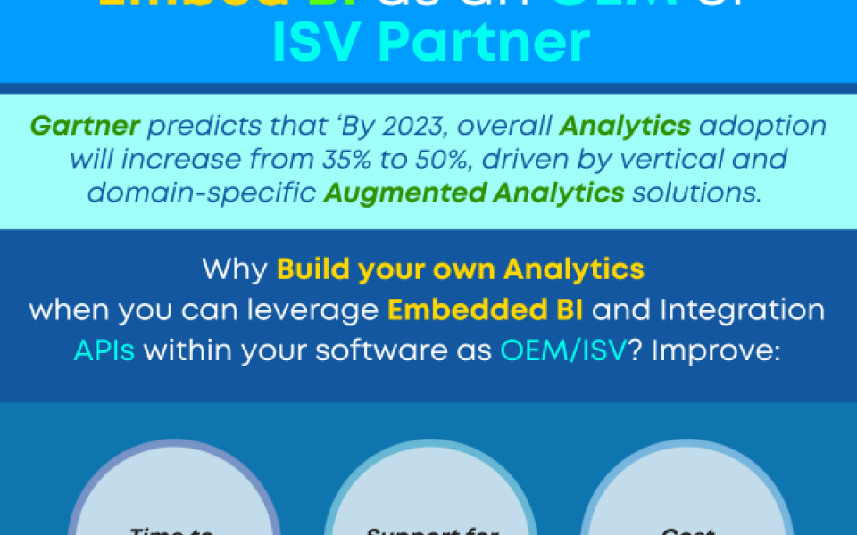 Why Spend Time and Money Developing BI? Embed BI in Your Software Product