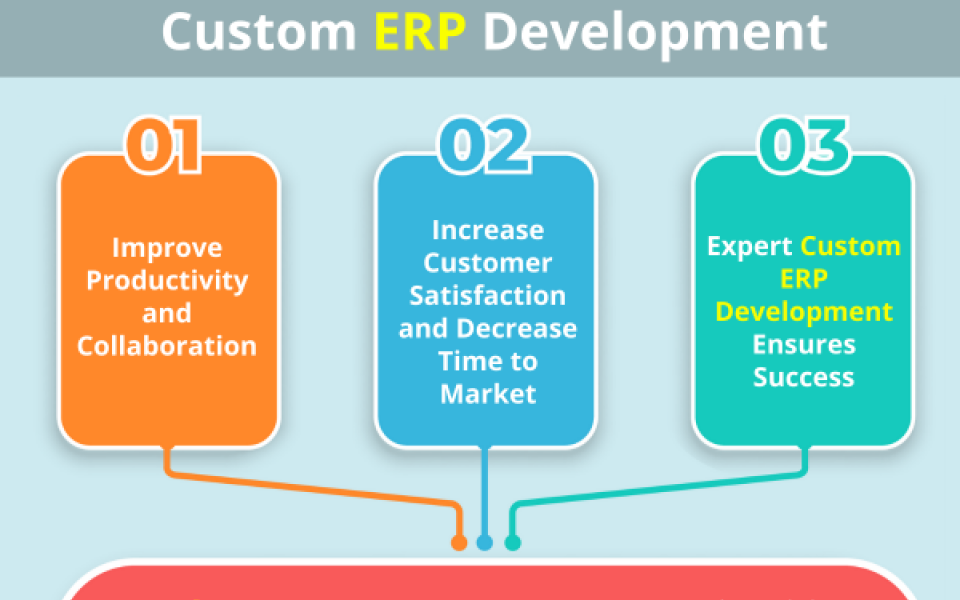 3 Reasons Your Business Should Consider Custom ERP Development