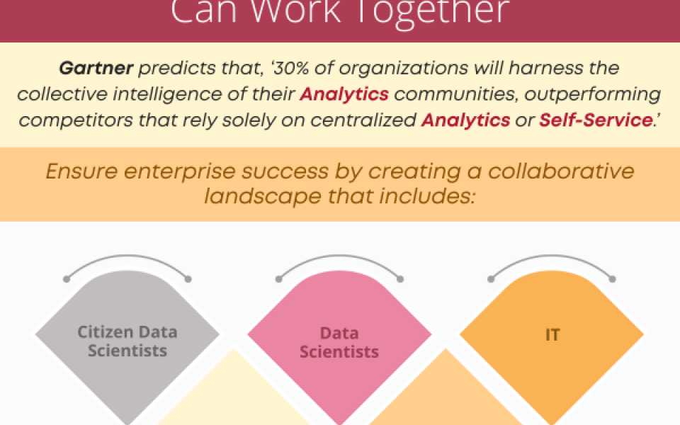 How Should My Citizen Data Scientists Work with Data Scientists and Analysts?