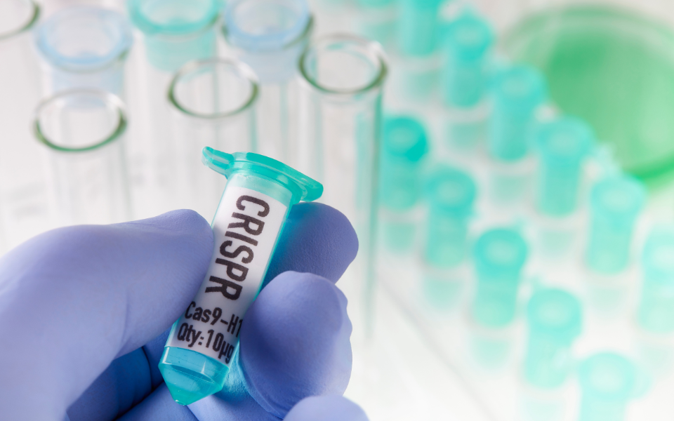 What are the potential risks and benefits of using gene-editing technologies like CRISPR?