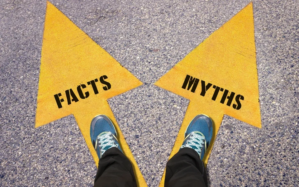 Will Robots Take Over Jobs? Debunking Myths and Predicting the Future