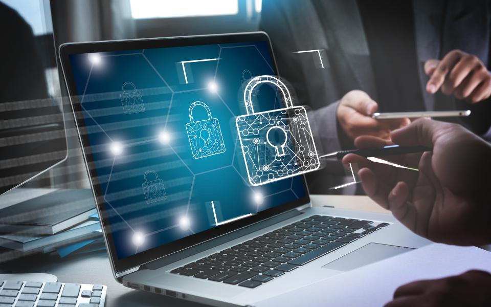 Data Security and Privacy: Ensuring Trust in a Digitally Connected World