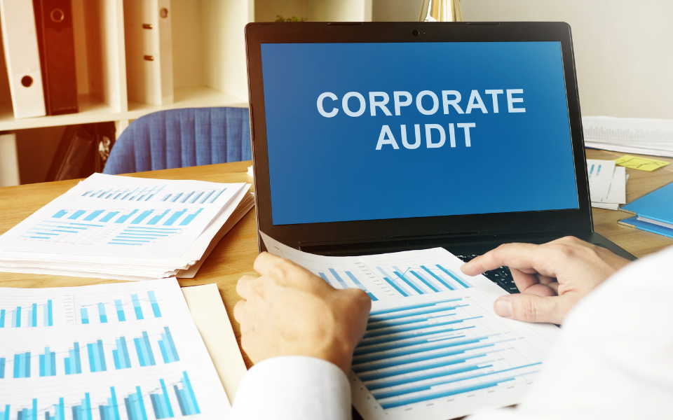 30% of corporate audits will be performed by artificial intelligence by 2025