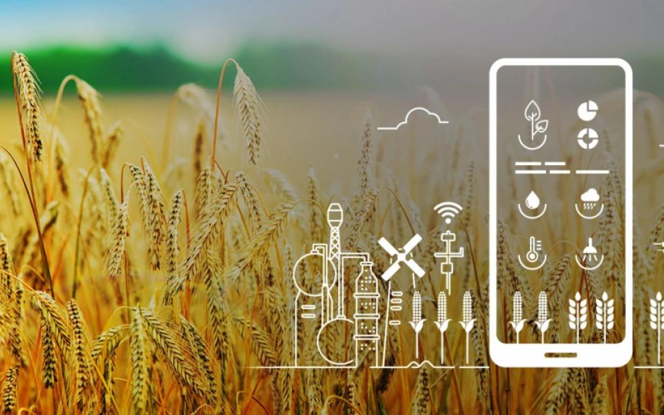 Govtech Can Overcome Imbalances in Agriculture