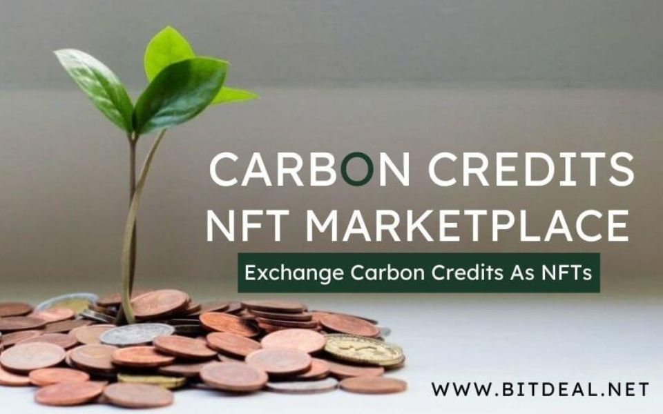 Applications of Carbon Credits NFT Marketplace: Exploring With Real-Time Examples