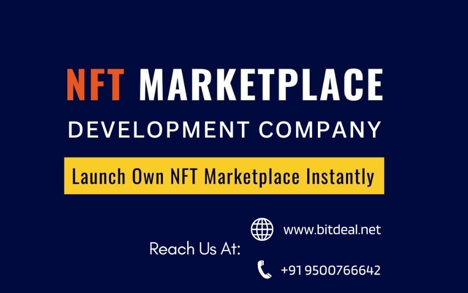 What Are The Key Steps to Launch Your Own NFT Marketplace?
