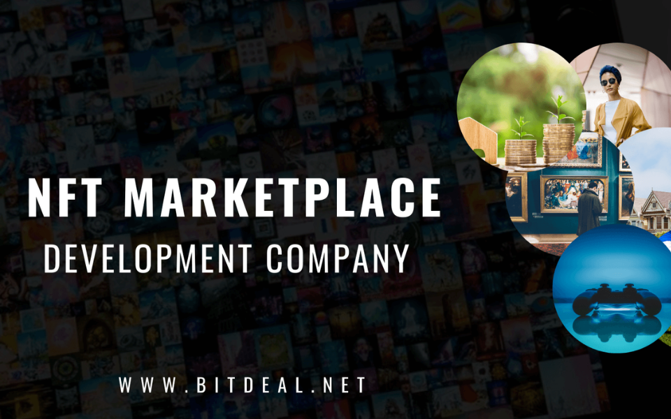 Empowering Creators: Key Highlights For A Successful NFT Marketplace Platform