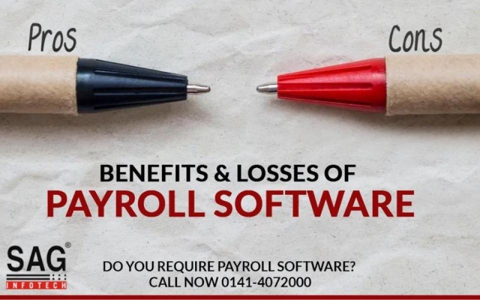 Pros and Cons of HR Payroll Software for Business Management