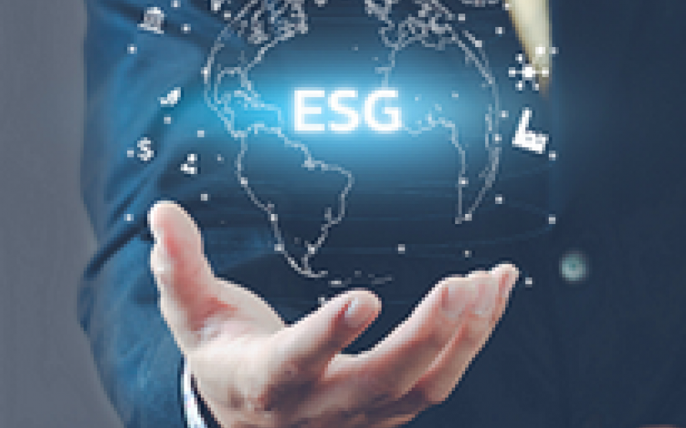The Role of Technology in ESG Data Collection and Analysis