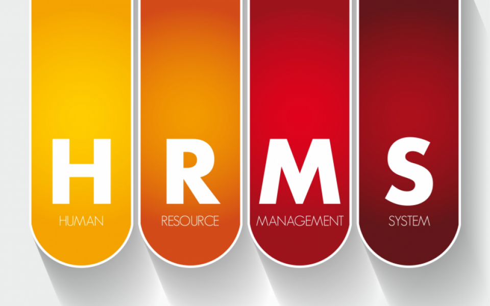 Your Quick Guide to HRMS Software