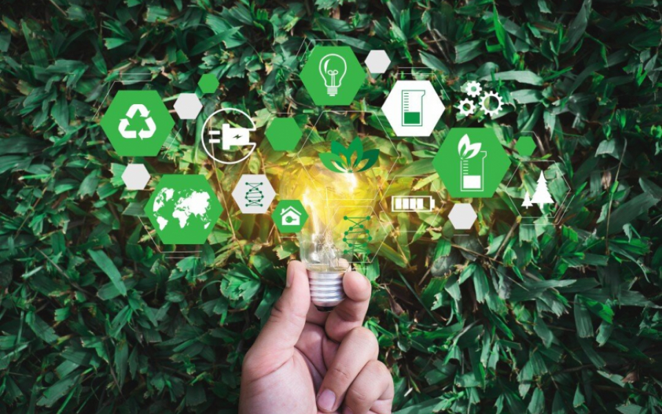 Sustainable Technology in Enterprises: Towards a Greener Future
