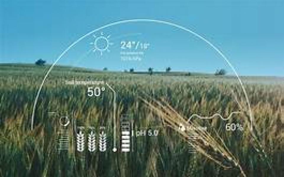 AI in Agriculture: An Emerging Era in Technology