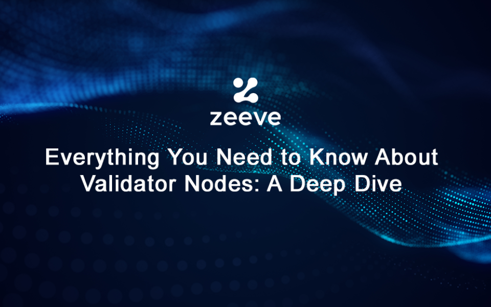 Everything You Need to Know About Validator Nodes: A Deep Dive