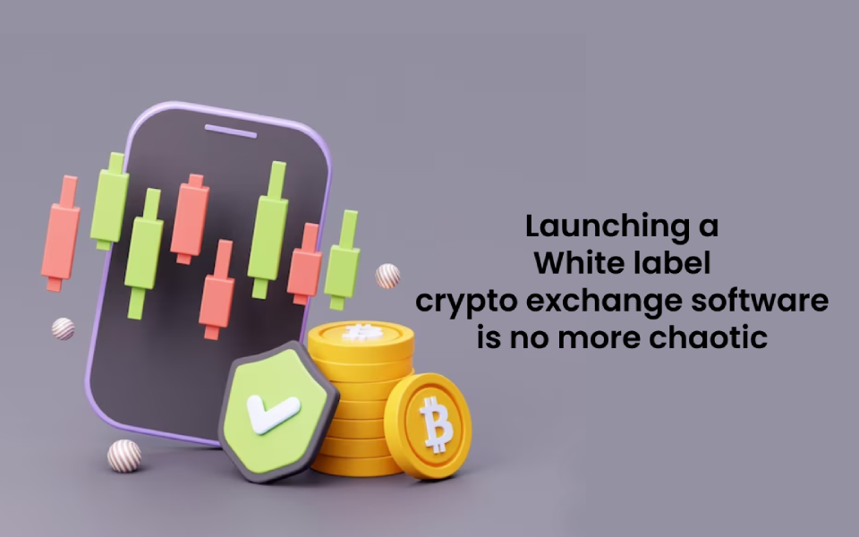 Launching a White label crypto exchange software is no more chaotic