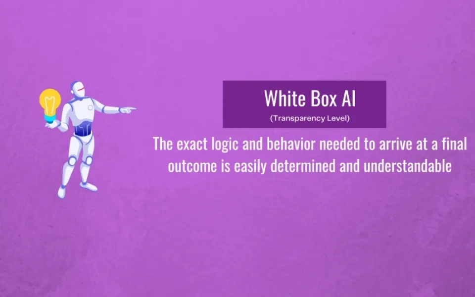 White Box AI vs Black Box AI