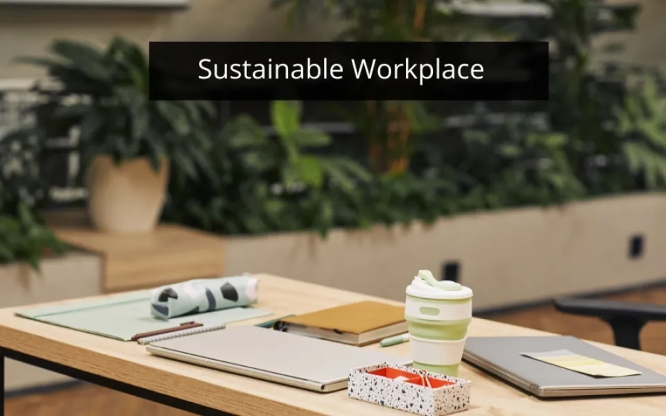 Make Way for Environmentally Sustainable Workplace