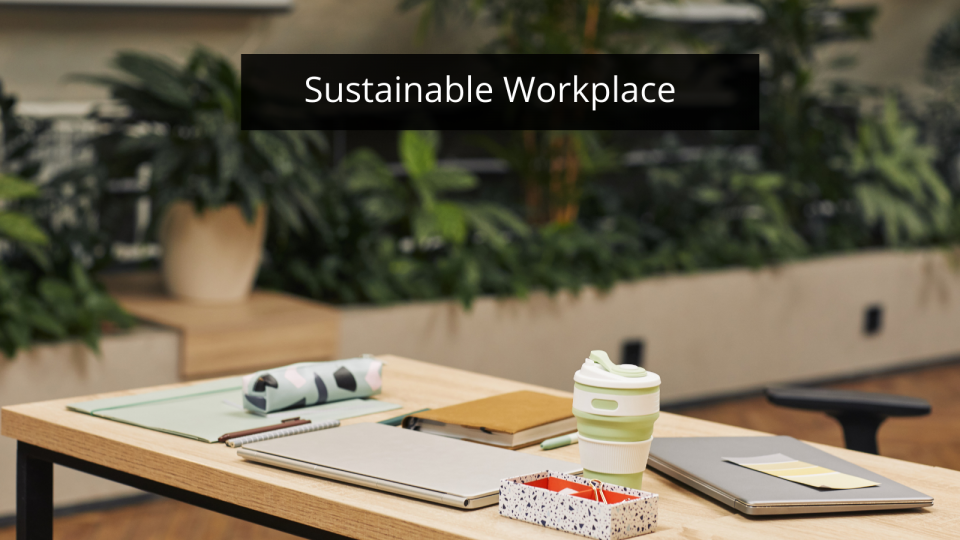 Make Way for Environmentally Sustainable Workplace