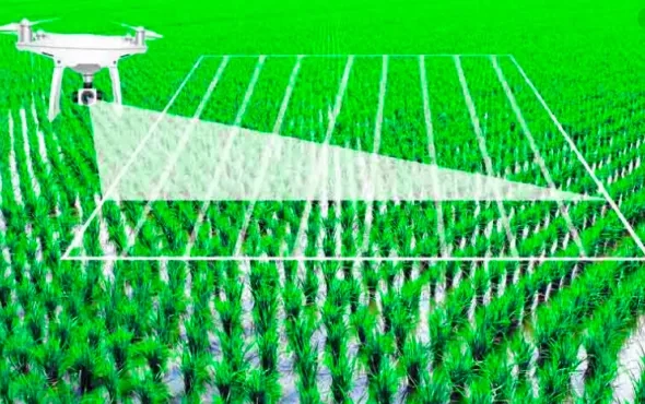 Predict And Build Crop Forecasting Model Using Artificial Intelligence: