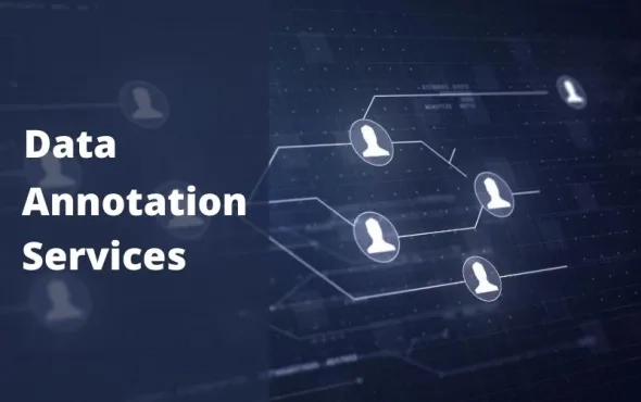 Data Annotation and Labelling Services: India Value Proposition and Industry Maturity
