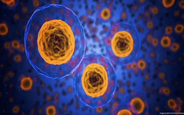 Convergence of Cutting-Edge Frontiers – 3D Bioprinting, Cellular Biology, and Generative AI