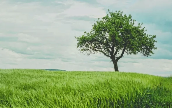 Sustainability Outlook: Top Emerging Trends in 2023 and Beyond