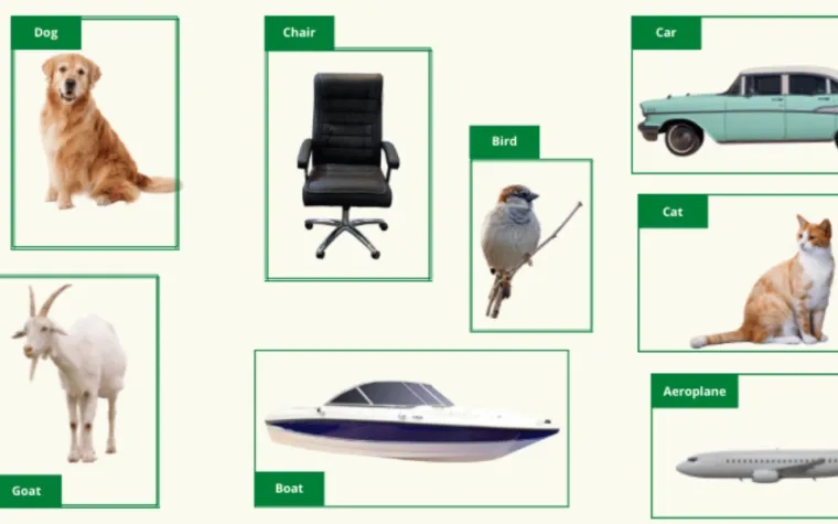 ANPR using NanoDet, an Anchor-free Object Detection model 