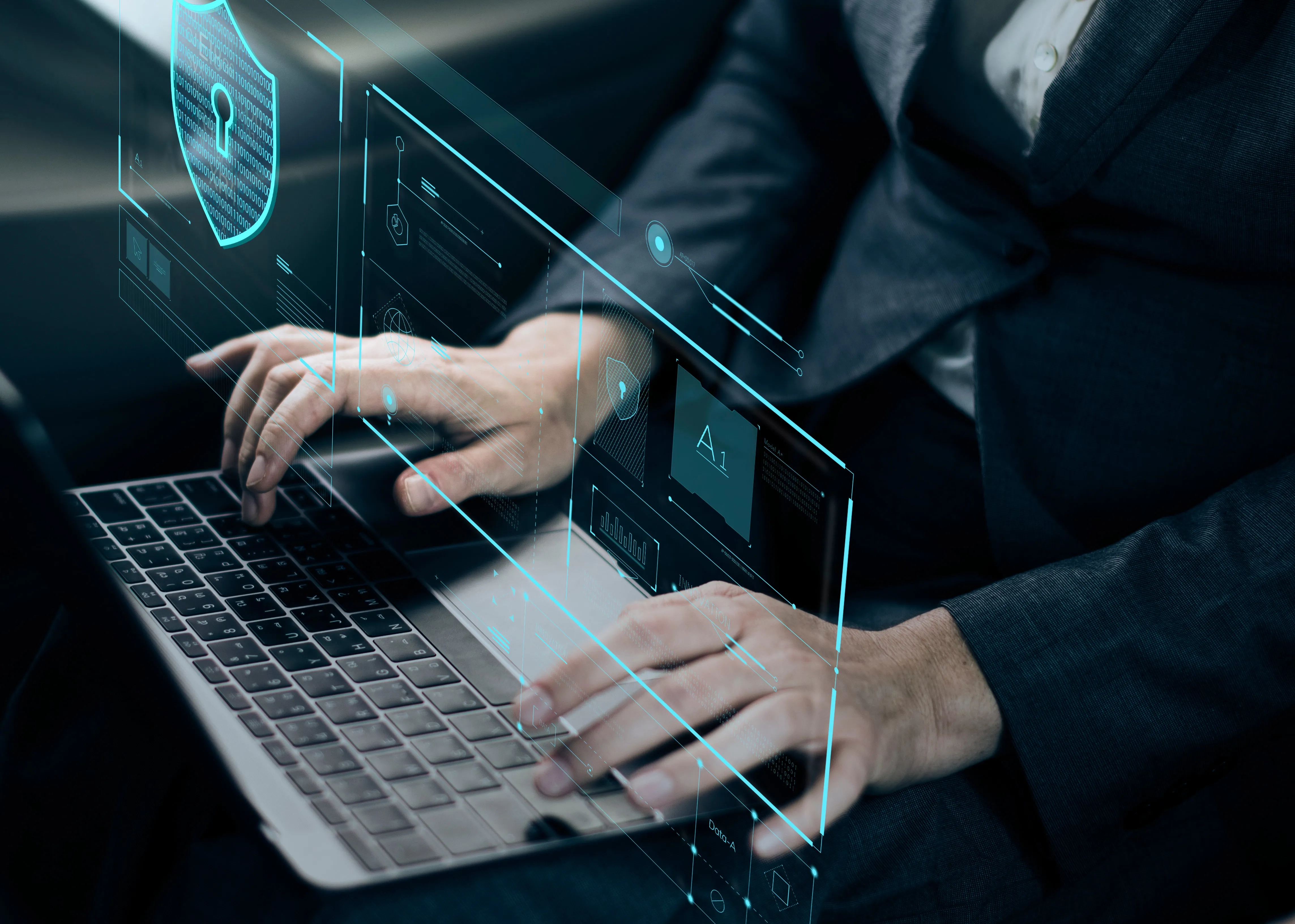 Cyber Security & Privacy