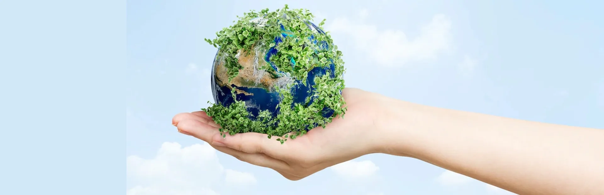 E - Environmental